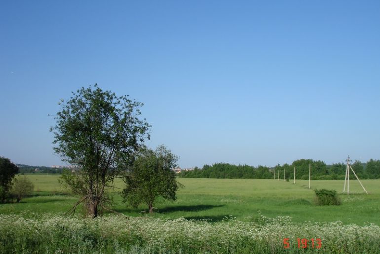 Земля в Подмосковье, Луцино