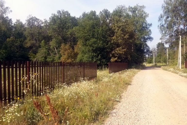 Земля в районе Пушкинский, Новое Бортнево