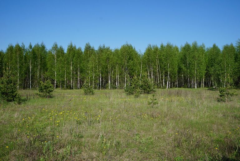 Земля в Подмосковье, Якушево