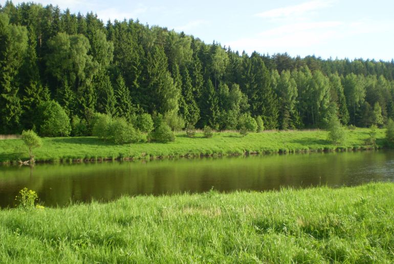 Земля в Подмосковье, Рыбушкино