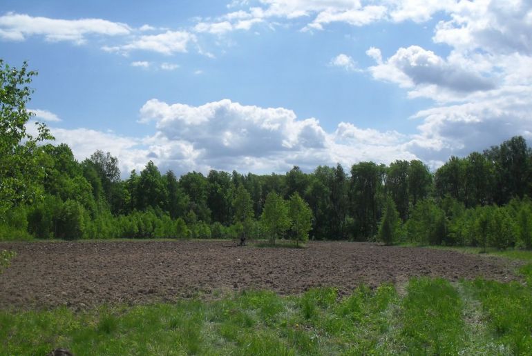 Земля в районе Подольский, Новогромово