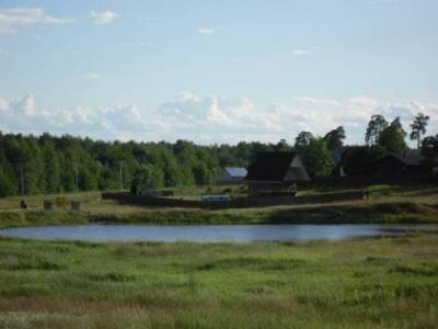 Участок Городской округ Электрогорск, Гусенки