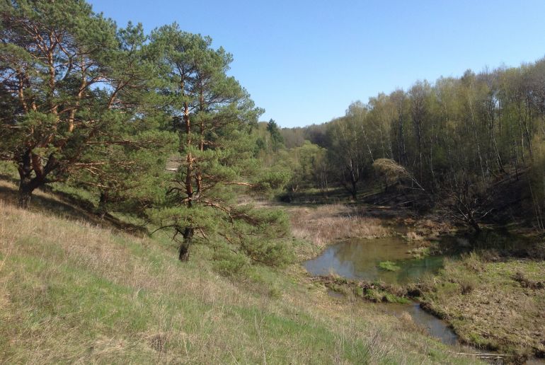 Земля в Подмосковье, Ланьшино