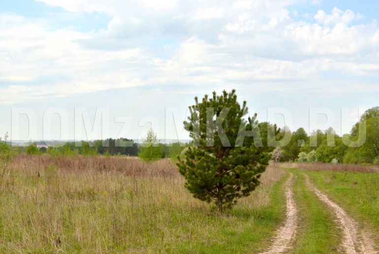 Земля в Подмосковье, Ланьшино