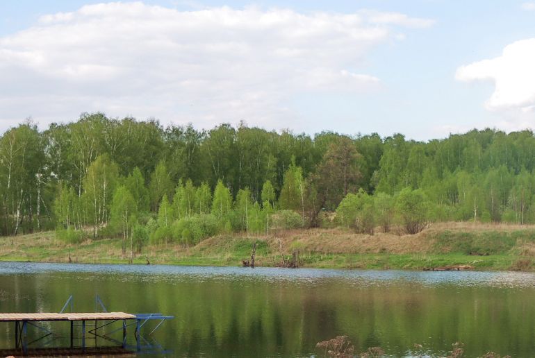 Земля в Подмосковье, Ланьшино