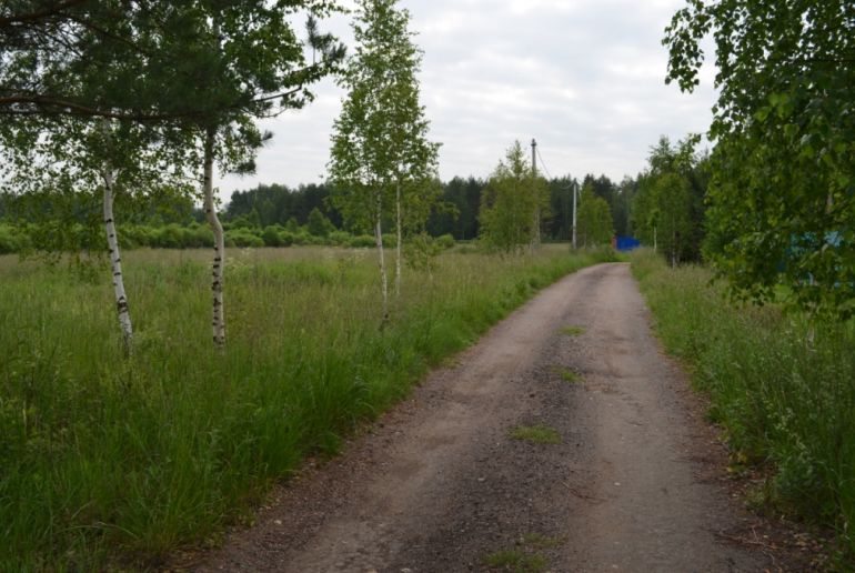 Земля в Подмосковье, Сергово