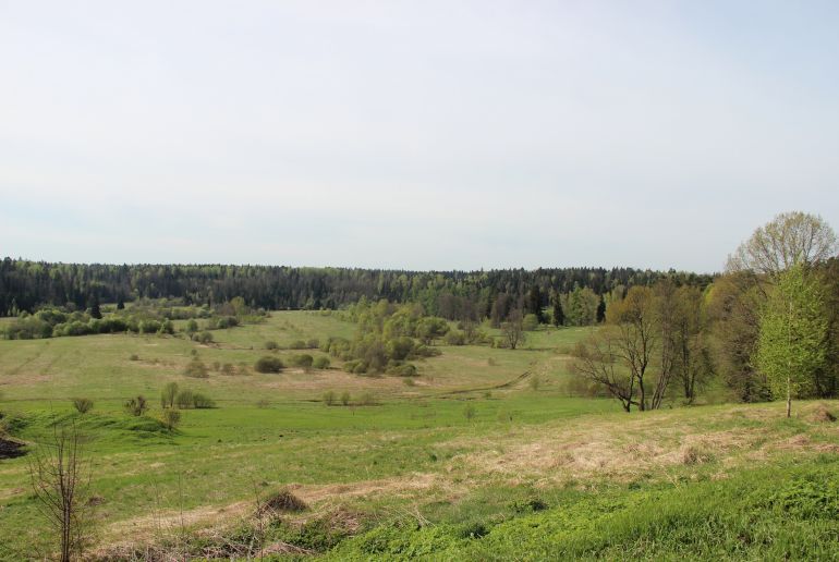 Земля в Подмосковье, Дергайково