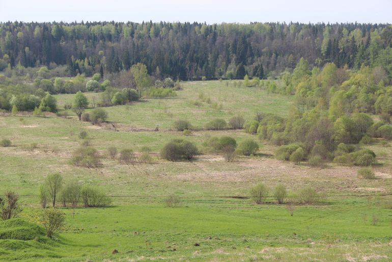 Земля в Подмосковье, Дергайково