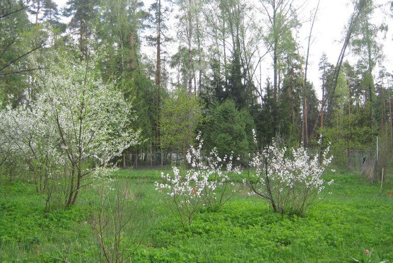 Земля в Подмосковье, Пироговский