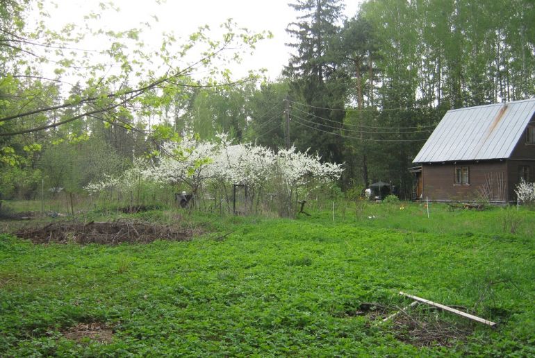 Земля в Подмосковье, Пироговский