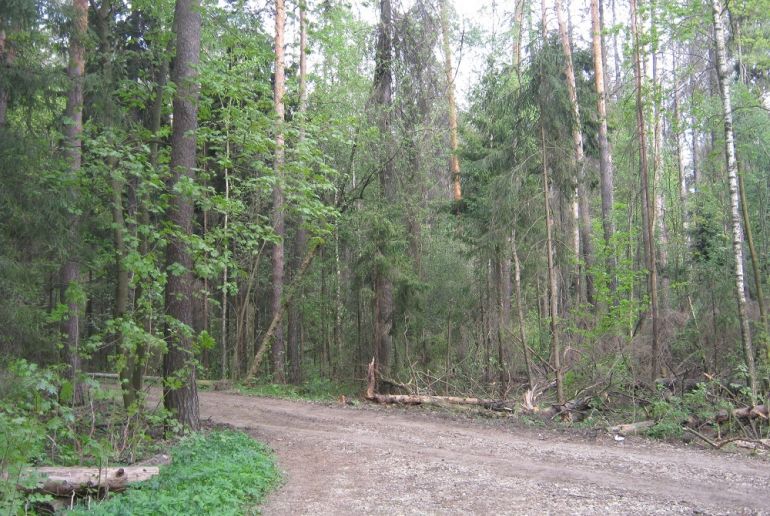 Земля в Подмосковье, Пироговский