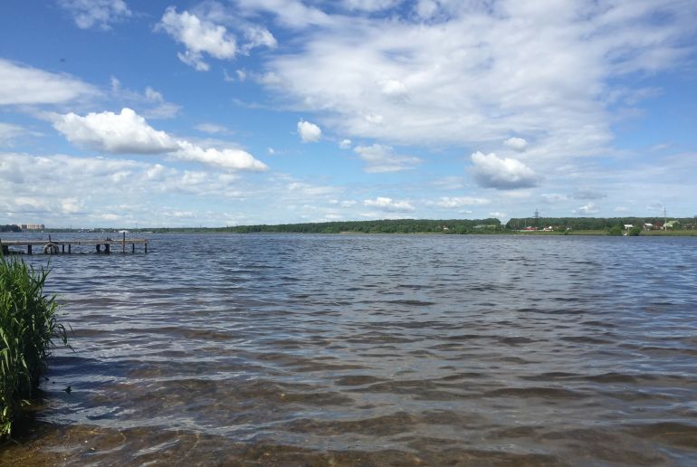 Земля в Подмосковье, Новосельцево