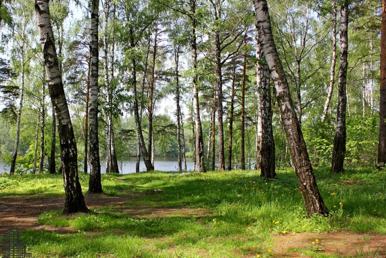 Земля в Подмосковье, Ульянково