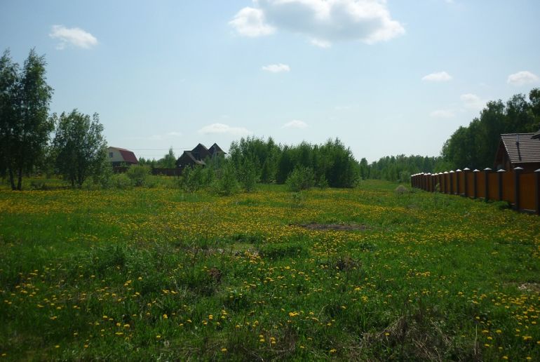 Земля в районе Ступинский, Леньково