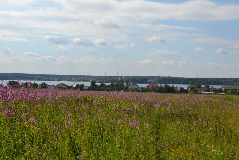 Земля в районе Мытищинский, Семкино