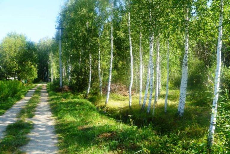 Земля в районе Талдомский, д.Сорокино