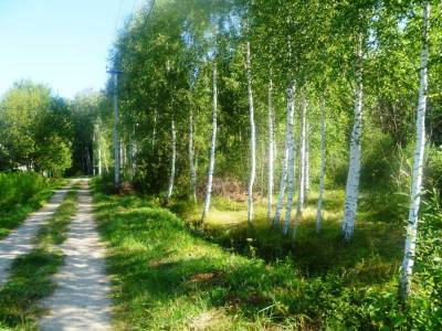 Участок в дальнем Подмосковье, д.Сорокино