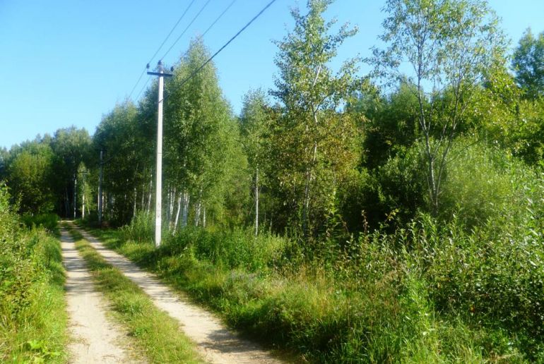 Земля в районе Талдомский, д.Сорокино