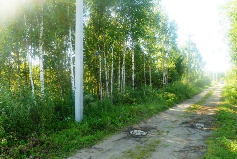 Земля в районе Талдомский, д.Сорокино