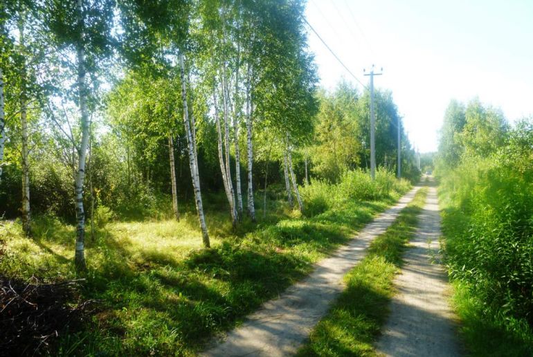 Земля в районе Талдомский, д.Сорокино