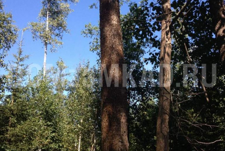 Земля в районе Талдомский, СНТ Калинка