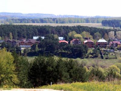 Поселок эконом класса в Подмосковье, Лёвшино