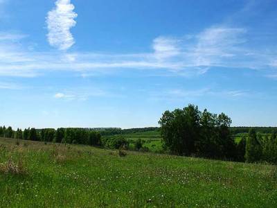 Купить дачный участок в Подмосковье недорого, Лесное