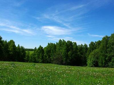 Поселок эконом класса в Подмосковье, Лесное