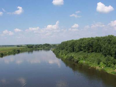 Поселок эконом класса в Подмосковье, Заречье