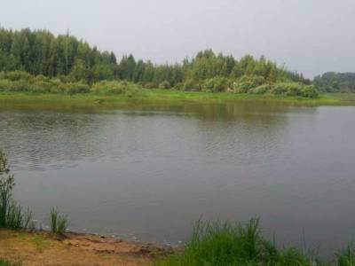 Недвижимость в Подмосковье дома участок в деревне, Берег Доброй Надежды