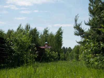 Поселок эконом класса в Подмосковье, Лесные дачи