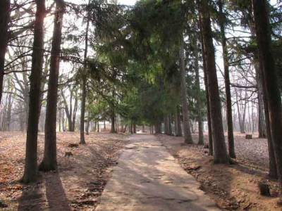 Недвижимость ближнее Подмосковье недорого, Горицкое Подворье