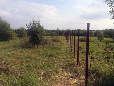 Недвижимость в Одинцовском районе Московской области, Серые цапли