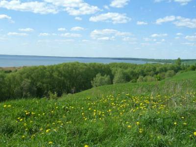 Поселок эконом класса Ярославское шоссе, Переславская благодать