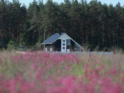 Купить дачный участок в Подмосковье недорого, Домашнево