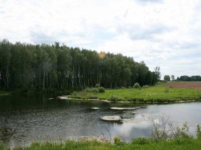 Поселок эконом класса в Подмосковье, Жилой Комплекс "Малино"