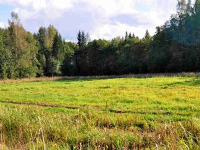 Дачный поселок эконом класса в Подмосковье, Агинтово