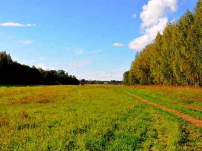 Недвижимость в Подмосковье дома участок в деревне, Агинтово