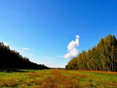 Недвижимость в Подмосковье дома участок в деревне, Агинтово