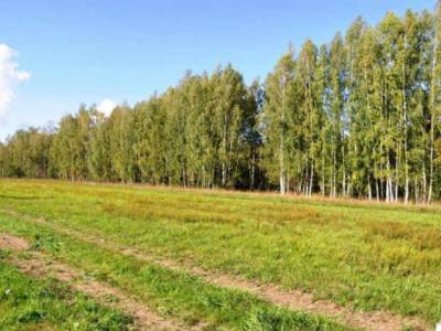 Дальнее Подмосковье недвижимость, Заповедное