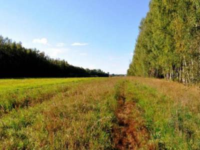 Недвижимость в Подмосковье дома участок в деревне, Заповедное