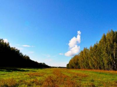 Поселок в Подмосковье, Заповедное