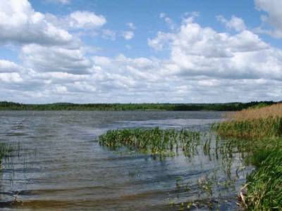 Поселок эконом класса в Подмосковье, Савельево